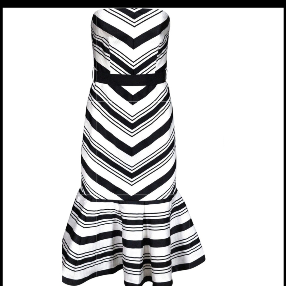 Alexis black and white evening gown size large